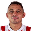 R. Vanegas