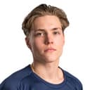 D. Heikkinen