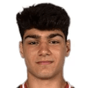 V. Harutyunyan