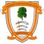Ashford Town (Middlesex)